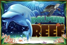 dolphin reef